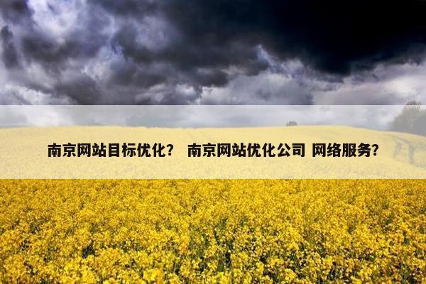 南京网站目标优化？ 南京网站优化公司 网络服务？
