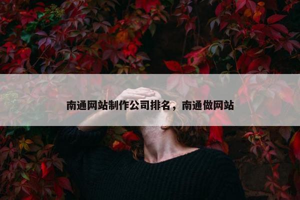 南通网站制作公司排名，南通做网站