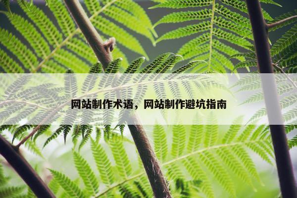 网站制作术语，网站制作避坑指南