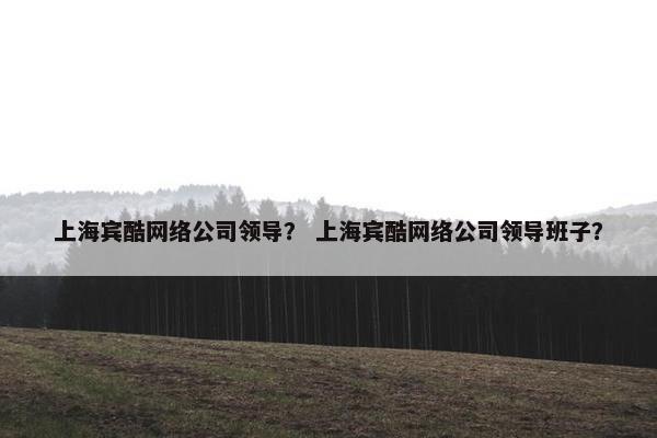 上海宾酷网络公司领导？ 上海宾酷网络公司领导班子？