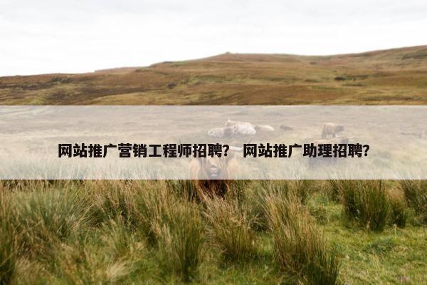 网站推广营销工程师招聘？ 网站推广助理招聘？