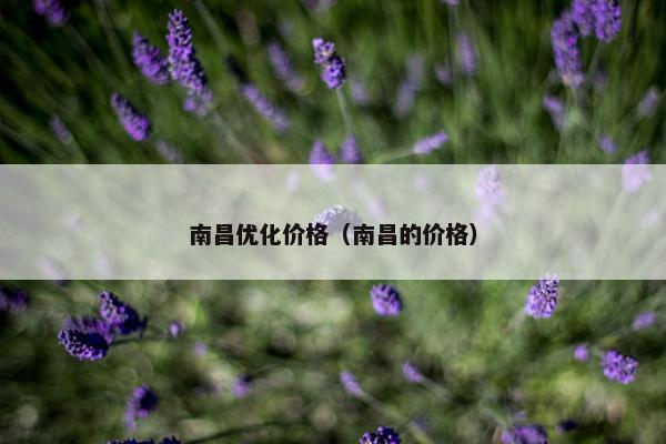 南昌优化价格（南昌的价格）