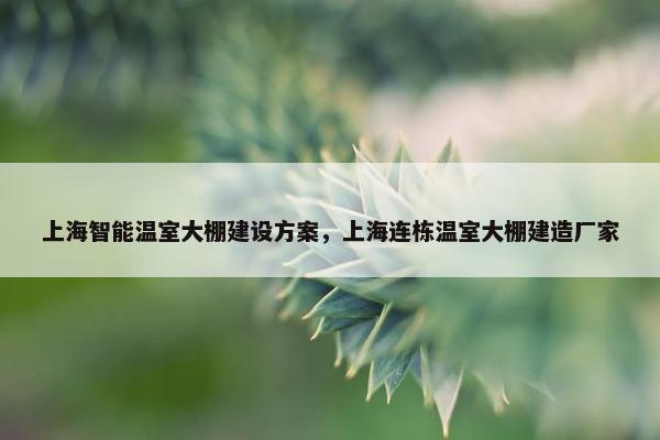 上海智能温室大棚建设方案，上海连栋温室大棚建造厂家