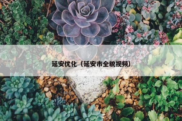 延安优化（延安市全貌视频）