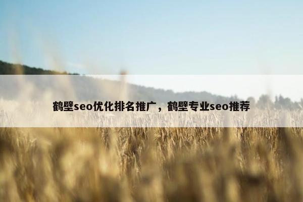 鹤壁seo优化排名推广，鹤壁专业seo推荐