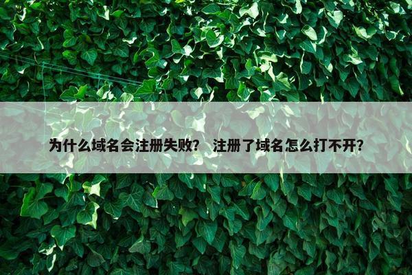 为什么域名会注册失败？ 注册了域名怎么打不开？