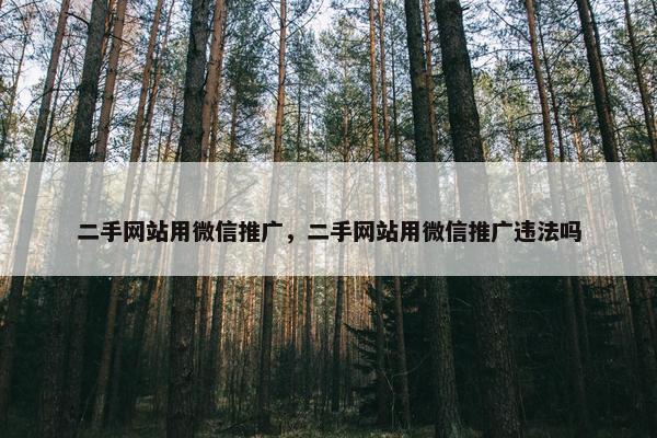 二手网站用微信推广，二手网站用微信推广违法吗