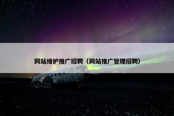 网站维护推广招聘（网站推广管理招聘）