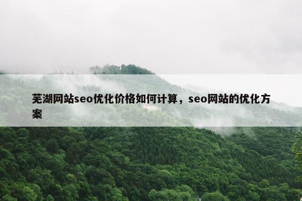芜湖网站seo优化价格如何计算，seo网站的优化方案