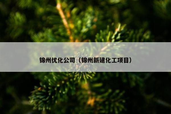 锦州优化公司（锦州新建化工项目）