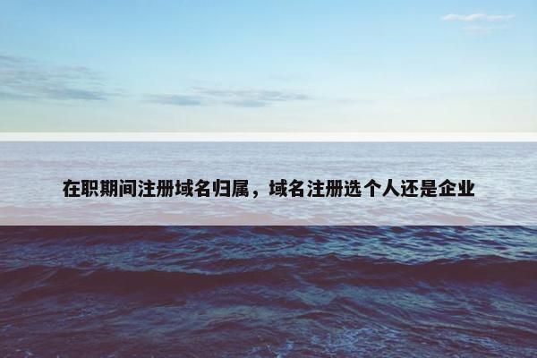 在职期间注册域名归属，域名注册选个人还是企业