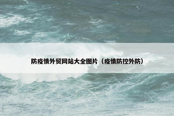 防疫情外贸网站大全图片（疫情防控外防）