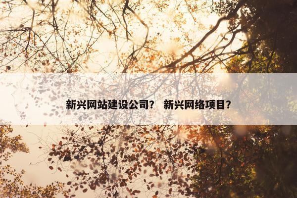 新兴网站建设公司？ 新兴网络项目？