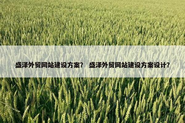 盛泽外贸网站建设方案？ 盛泽外贸网站建设方案设计？