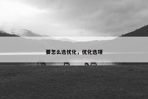 要怎么选优化，优化选项