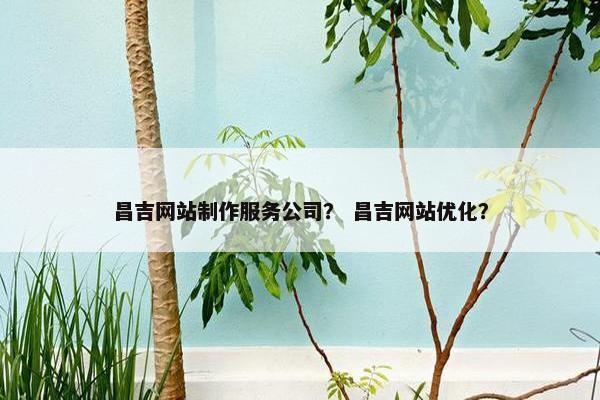 昌吉网站制作服务公司？ 昌吉网站优化？