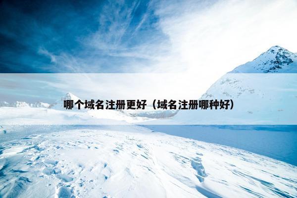 哪个域名注册更好（域名注册哪种好）