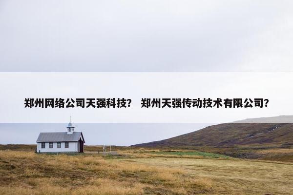 郑州网络公司天强科技？ 郑州天强传动技术有限公司？