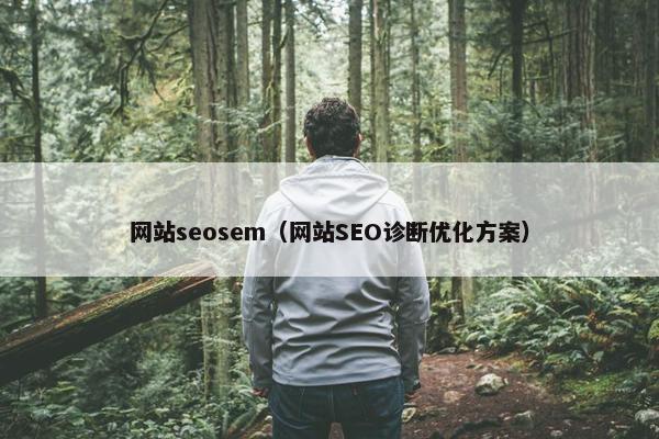 网站seosem（网站SEO诊断优化方案）