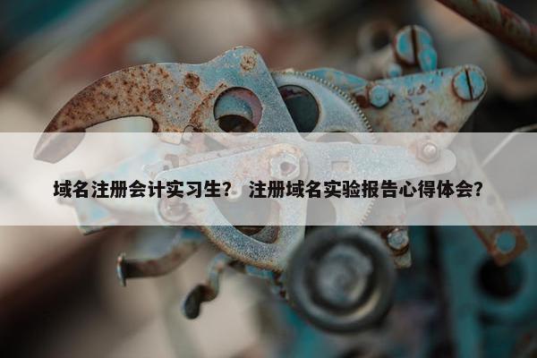 域名注册会计实习生？ 注册域名实验报告心得体会？