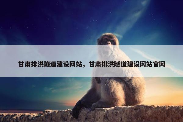 甘肃排洪隧道建设网站，甘肃排洪隧道建设网站官网