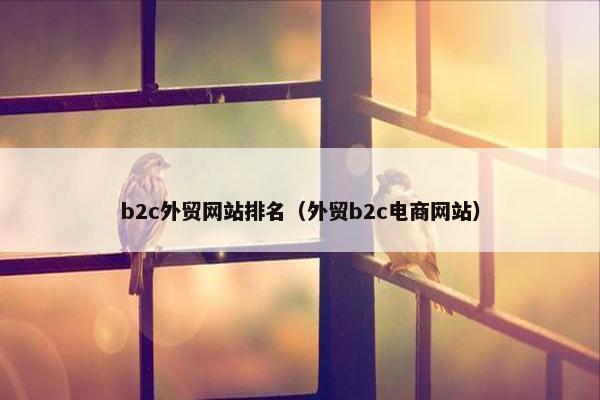 b2c外贸网站排名（外贸b2c电商网站）