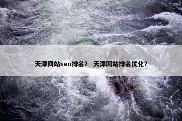 天津网站seo排名？ 天津网站排名优化？