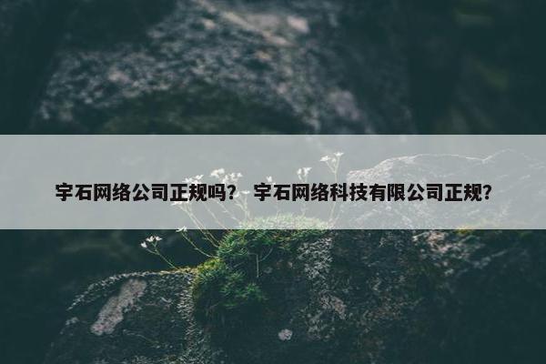 宇石网络公司正规吗？ 宇石网络科技有限公司正规？