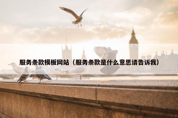 服务条款模板网站（服务条款是什么意思请告诉我）