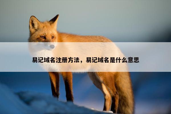 易记域名注册方法，易记域名是什么意思