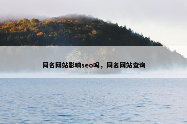 同名网站影响seo吗，同名网站查询