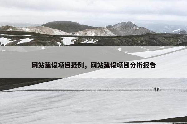 网站建设项目范例，网站建设项目分析报告