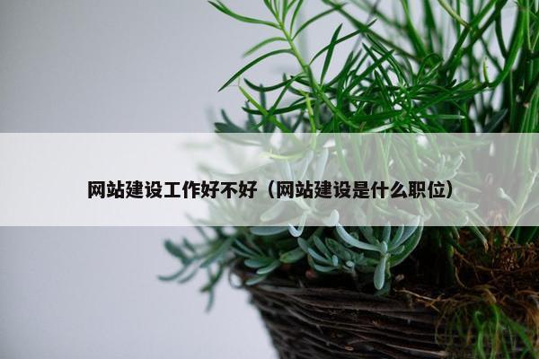 网站建设工作好不好（网站建设是什么职位）