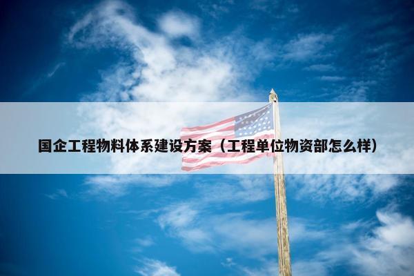 国企工程物料体系建设方案（工程单位物资部怎么样）