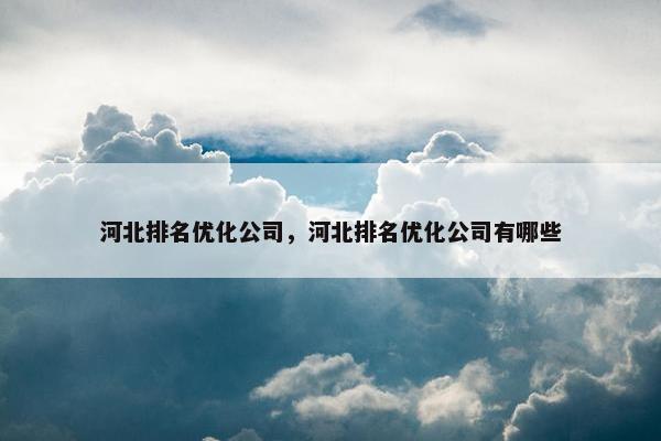 河北排名优化公司，河北排名优化公司有哪些