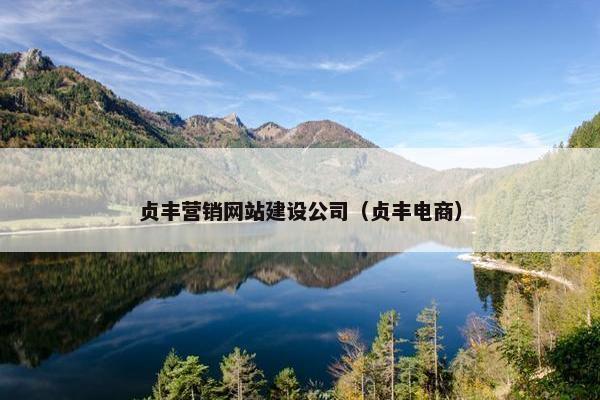贞丰营销网站建设公司（贞丰电商）