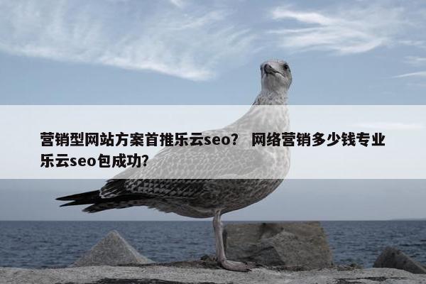 营销型网站方案首推乐云seo？ 网络营销多少钱专业乐云seo包成功？