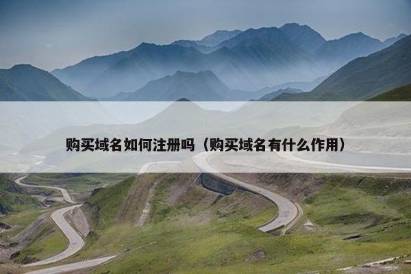 购买域名如何注册吗（购买域名有什么作用）