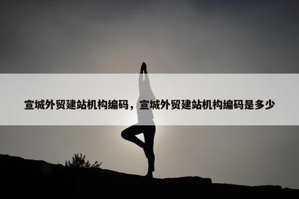 宣城外贸建站机构编码，宣城外贸建站机构编码是多少