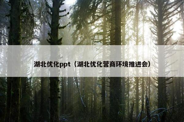 湖北优化ppt（湖北优化营商环境推进会）