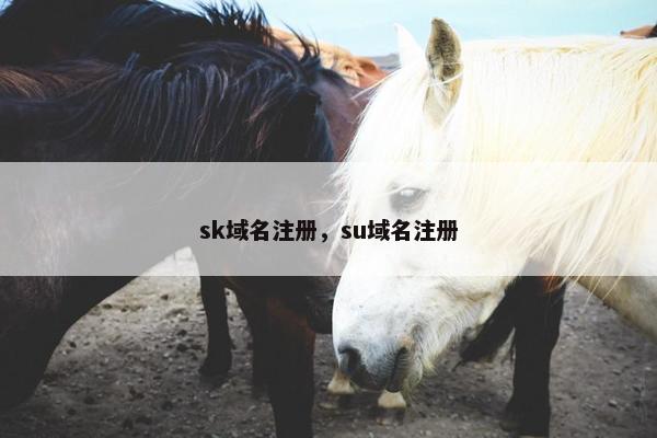 sk域名注册，su域名注册