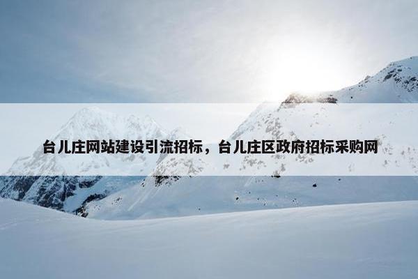 台儿庄网站建设引流招标，台儿庄区政府招标采购网