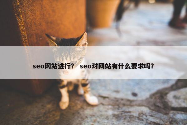 seo网站进行？ seo对网站有什么要求吗？