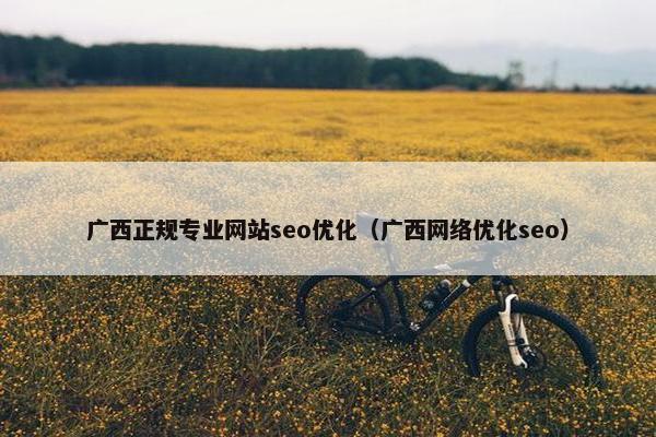 广西正规专业网站seo优化（广西网络优化seo）