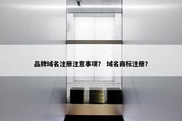 品牌域名注册注意事项？ 域名商标注册？
