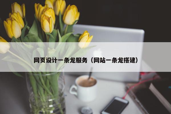 网页设计一条龙服务（网站一条龙搭建）