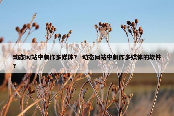 动态网站中制作多媒体？ 动态网站中制作多媒体的软件？