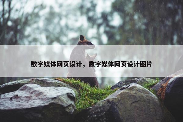数字媒体网页设计，数字媒体网页设计图片