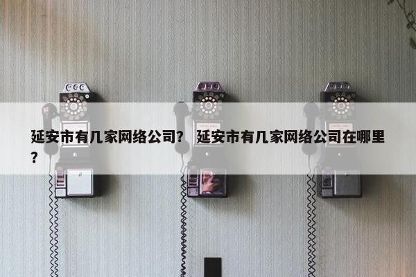 延安市有几家网络公司？ 延安市有几家网络公司在哪里？