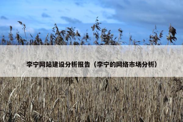 李宁网站建设分析报告（李宁的网络市场分析）